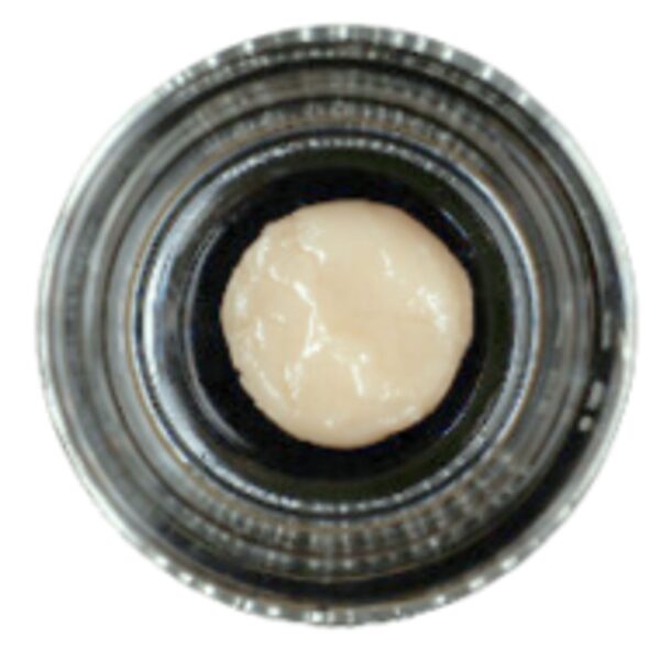 Sherbanger – STIIIZY 1.0g Premium THC Extract
