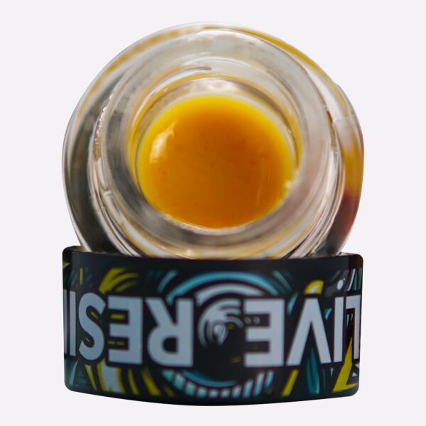 Nectarine Haze – STIIIZY 1.0g Premium THC Extract