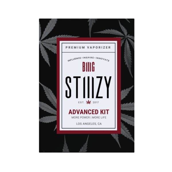 STIIIZY Battery – Black | 1EA Advanced Kit